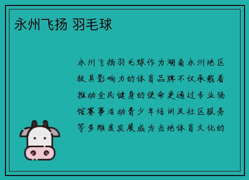 永州飞扬 羽毛球