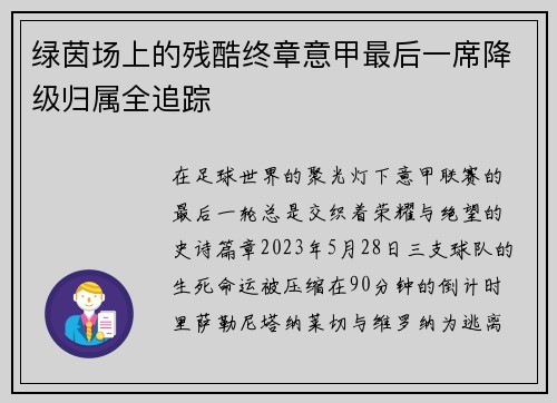 绿茵场上的残酷终章意甲最后一席降级归属全追踪