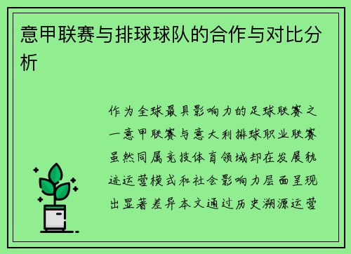 意甲联赛与排球球队的合作与对比分析