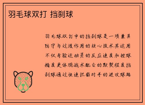 羽毛球双打 挡刹球